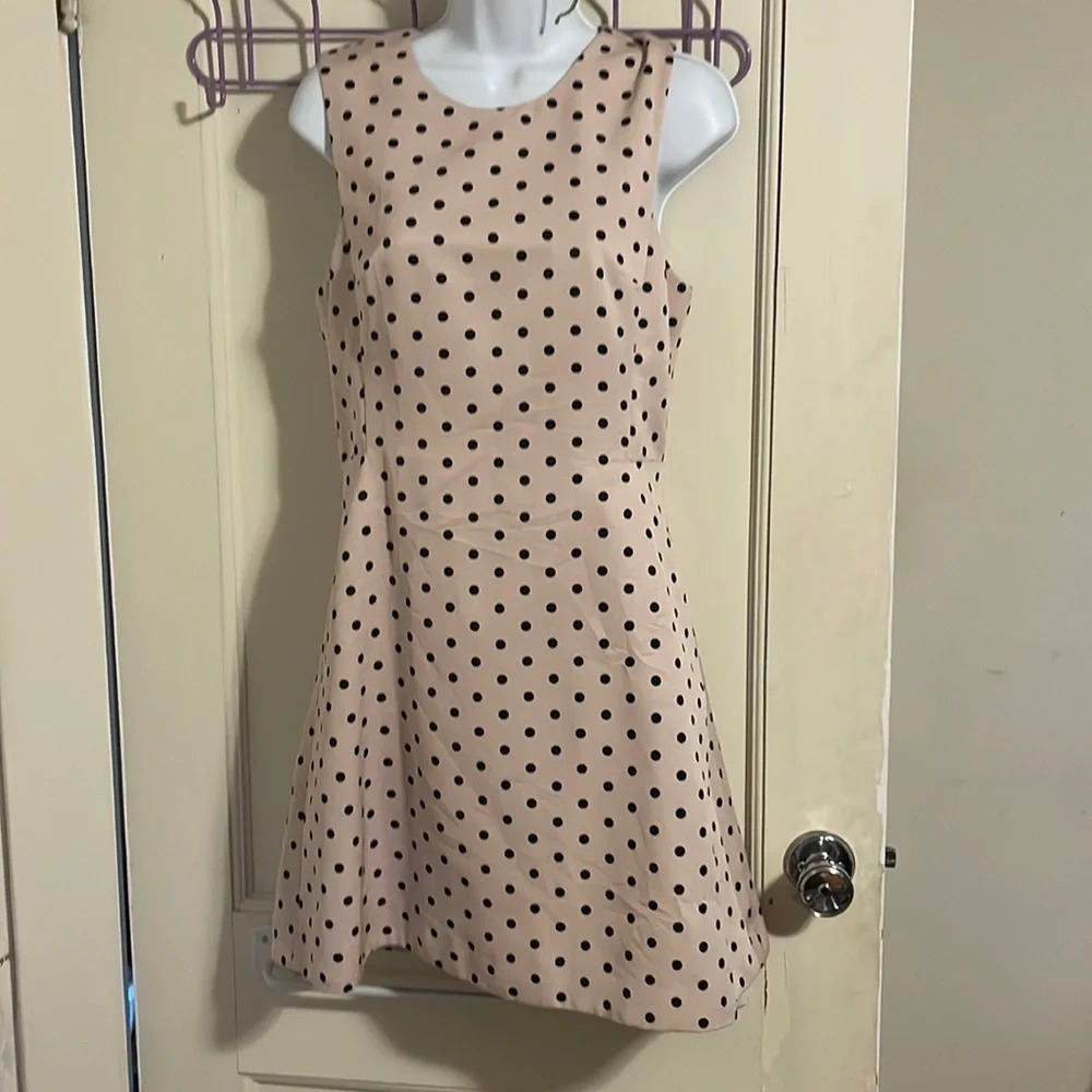 Express tan  dress